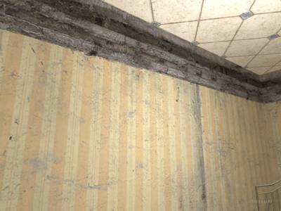 de_kulagin_house thumb 45