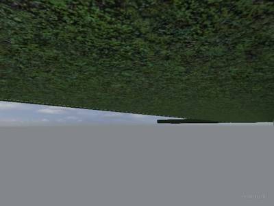 de_libr thumb 43
