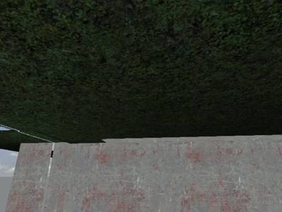 de_libr thumb 7