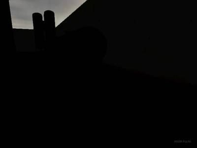 de_lilla_sick thumb 32