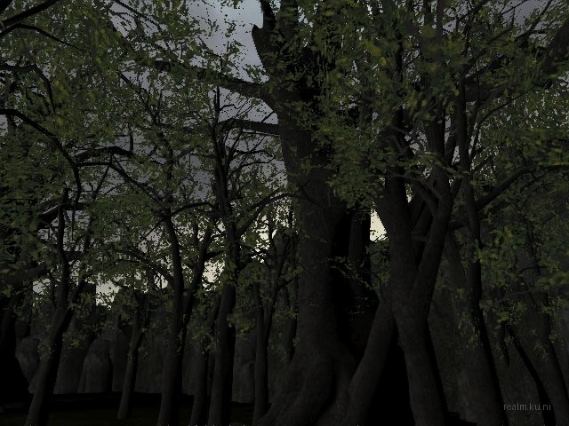 de_nightforest thumb 7