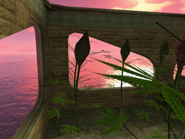 de_nougat thumb 12