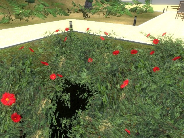 de_ocean_shishi thumb 4