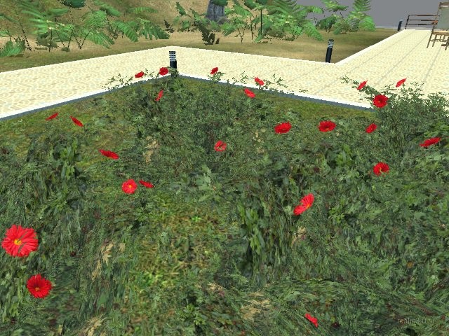 de_ocean_shishi2009 thumb 8
