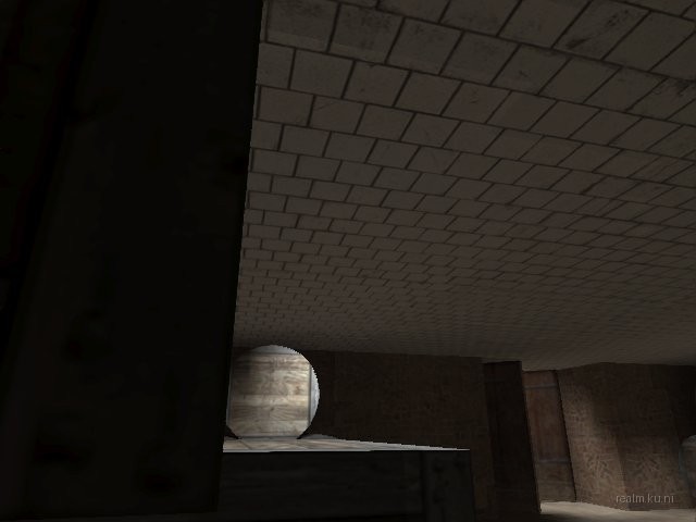 de_palm thumb 12