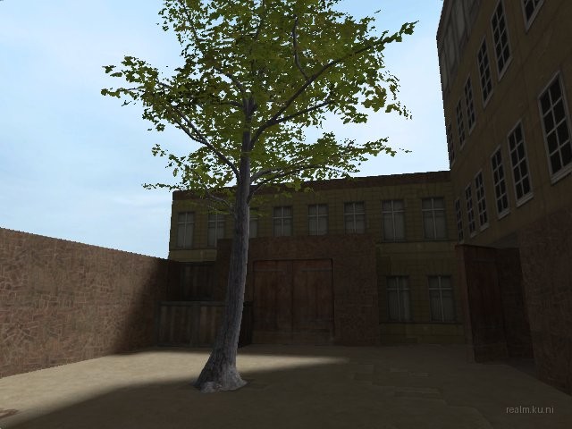 de_palm thumb 10