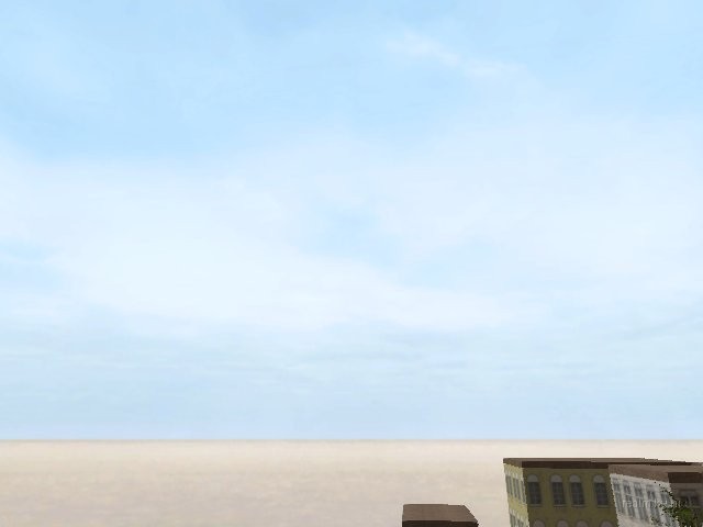 de_palm thumb 16