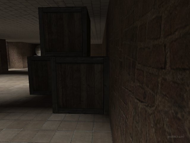 de_palm thumb 14