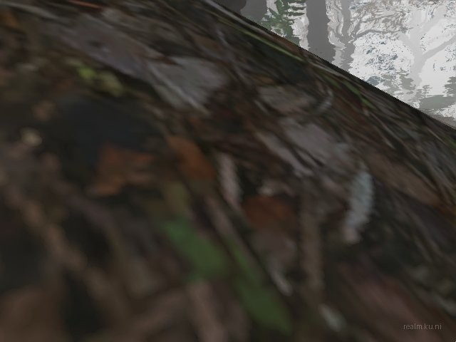de_patosauna thumb 14