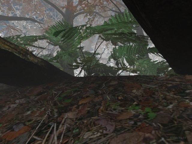 de_patosauna thumb 11