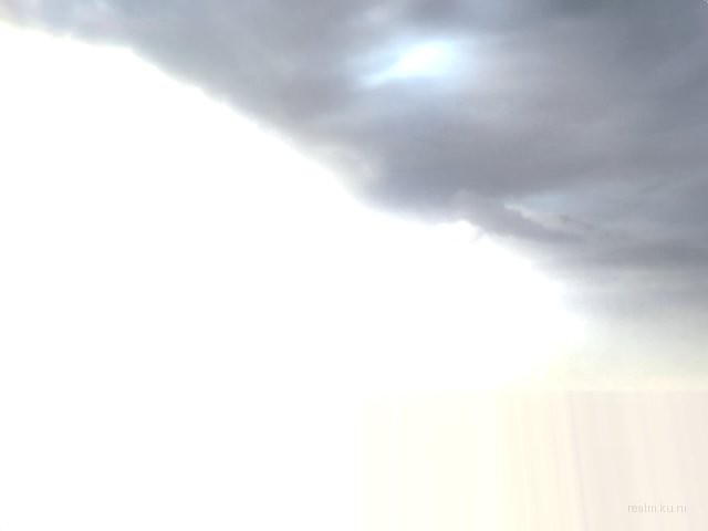 de_rats_morningcall thumb 16