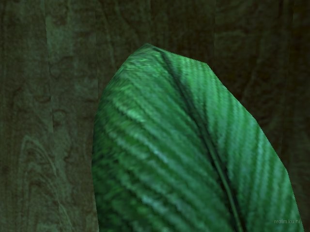 de_revshouse thumb 25