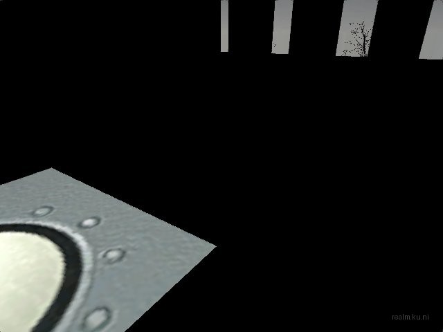 de_runtoplant_b2_snowy thumb 11