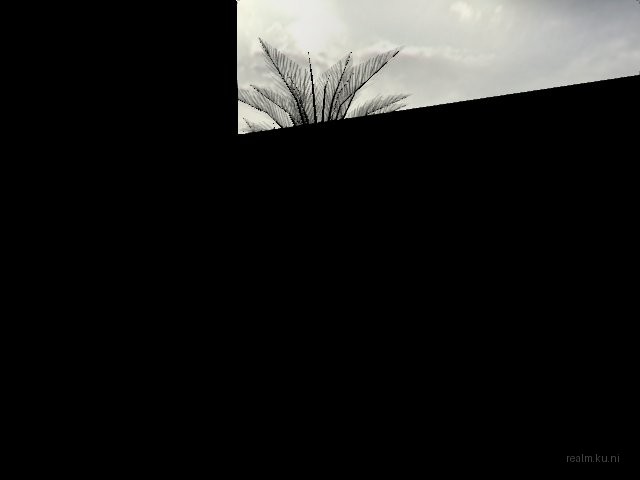 de_saffel_thorius thumb 13