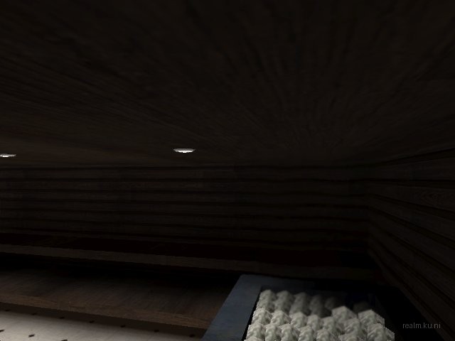 de_sauna_2011 thumb 21