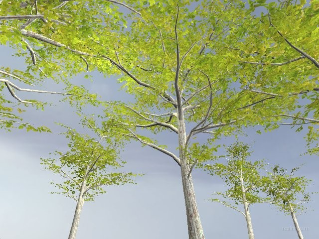 de_sauna_morso_v2 for css screenshot