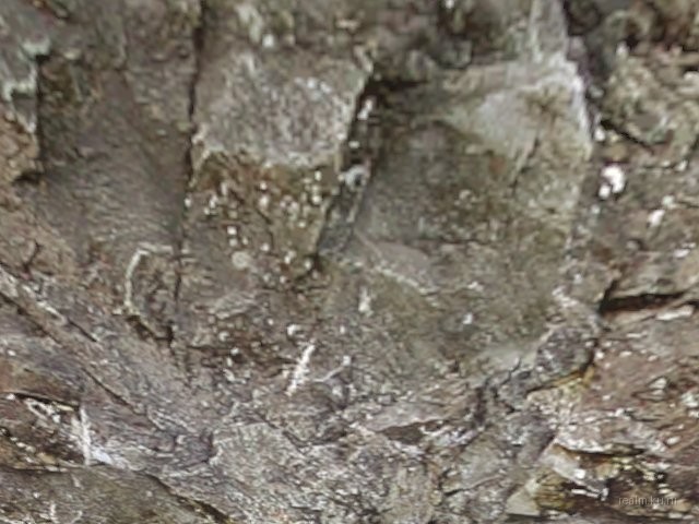 de_secretbase thumb 35