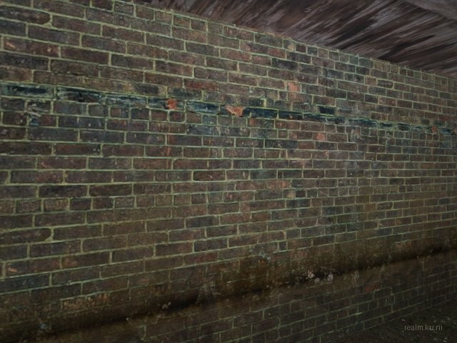 de_slight_sight_final thumb 2