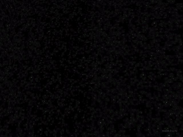 de_space_secret_v2 thumb 21