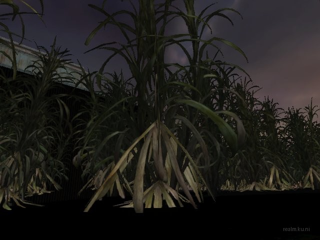 de_sugarcane thumb 19