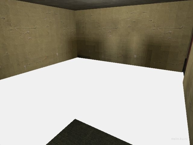 de_toronto_2009 thumb 7