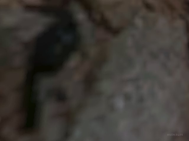 deaglecup_map2 thumb 3