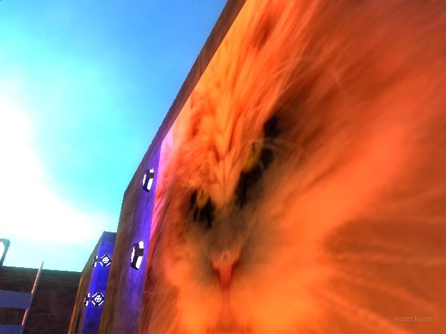 deathrun_cats_v2 thumb 22