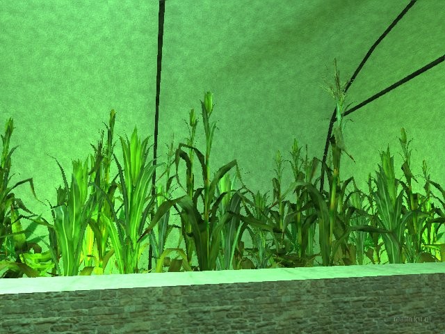 deathrun_fuck_yeah_weedv1 thumb 27