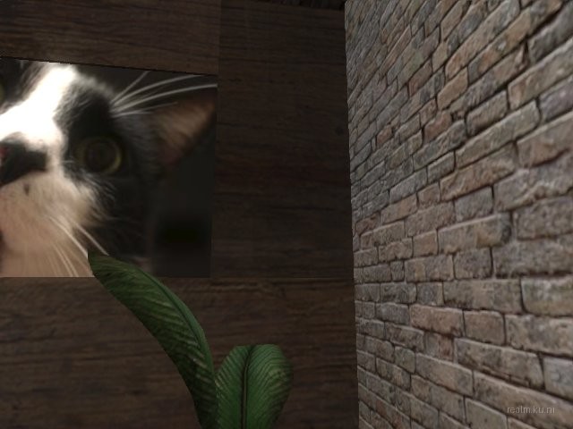 dm_dualift_v2 thumb 2