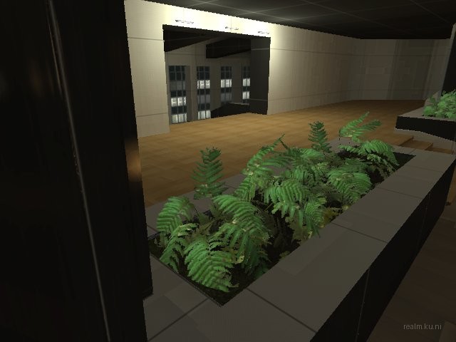 dm_executive thumb 2