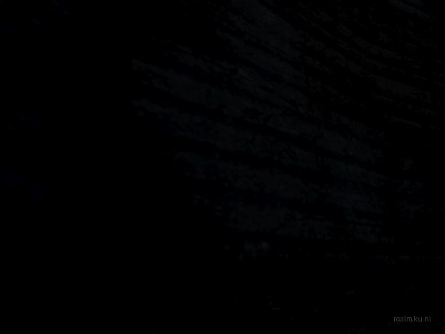 dm_finga_on_tha_trigga1 thumb 9