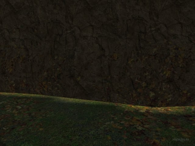 dm_forest_v1 thumb 8