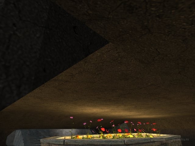 dm_grass_way thumb 8