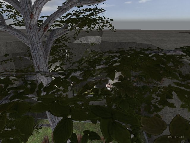 dm_grass_way thumb 15