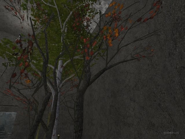 dm_grass_way thumb 13