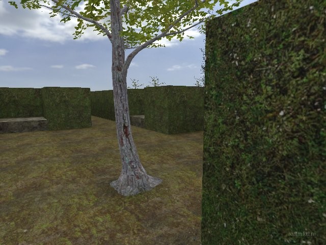 dm_guzzii_labyrinth thumb 16