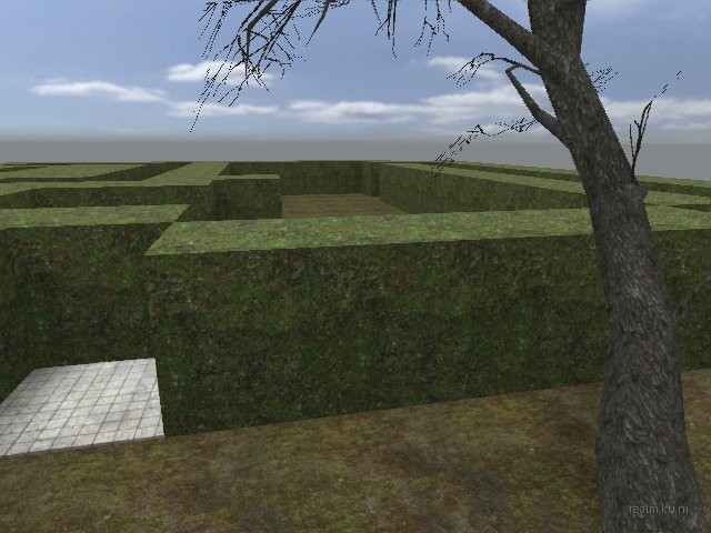 dm_guzzii_labyrinth thumb 20