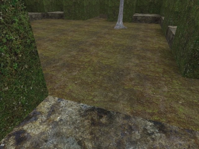 dm_guzzii_labyrinth thumb 19