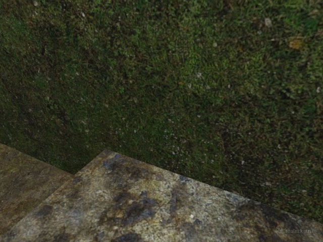 dm_guzzii_labyrinth thumb 15