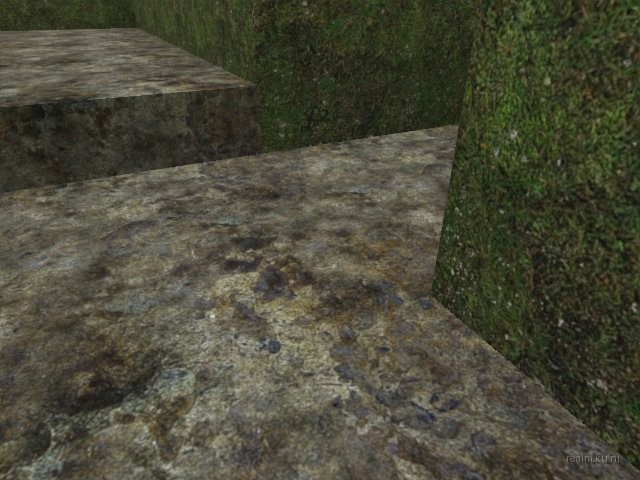 dm_guzzii_labyrinth thumb 18