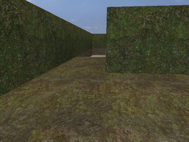 dm_guzzii_labyrinth thumb 3