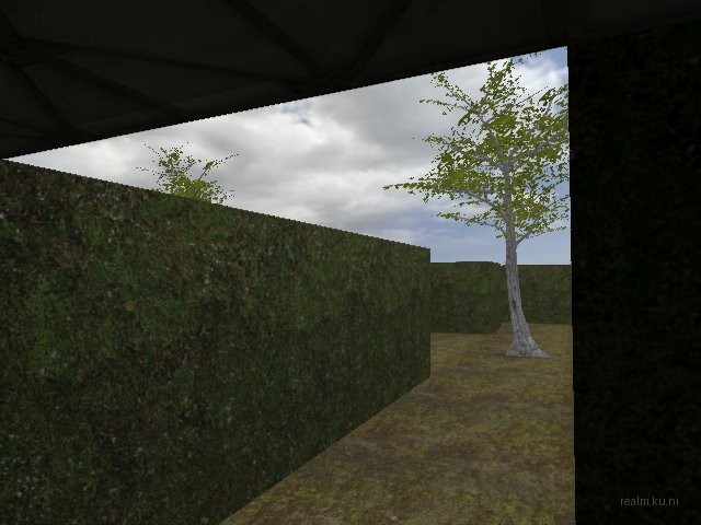 dm_guzzii_labyrinth thumb 5