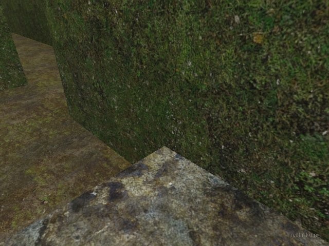 dm_guzzii_labyrinth thumb 12