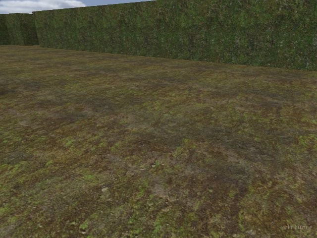 dm_guzzii_labyrinth thumb 8