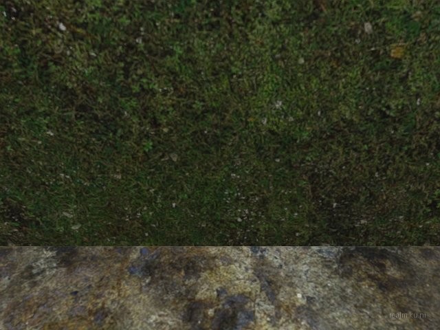 dm_guzzii_labyrinth thumb 4