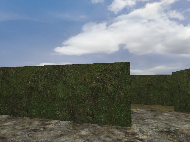 dm_guzzii_labyrinth thumb 2