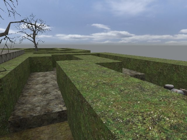 dm_guzzii_labyrinth thumb 14