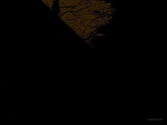 dm_night_v1 thumb 14