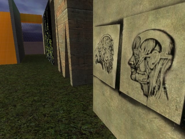 dm_orange_v11 thumb 4