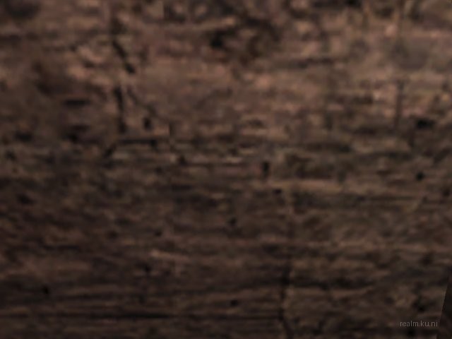 dm_wholiebeta thumb 8